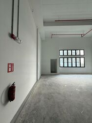 Ct Foodnex (D25), Factory #498352371